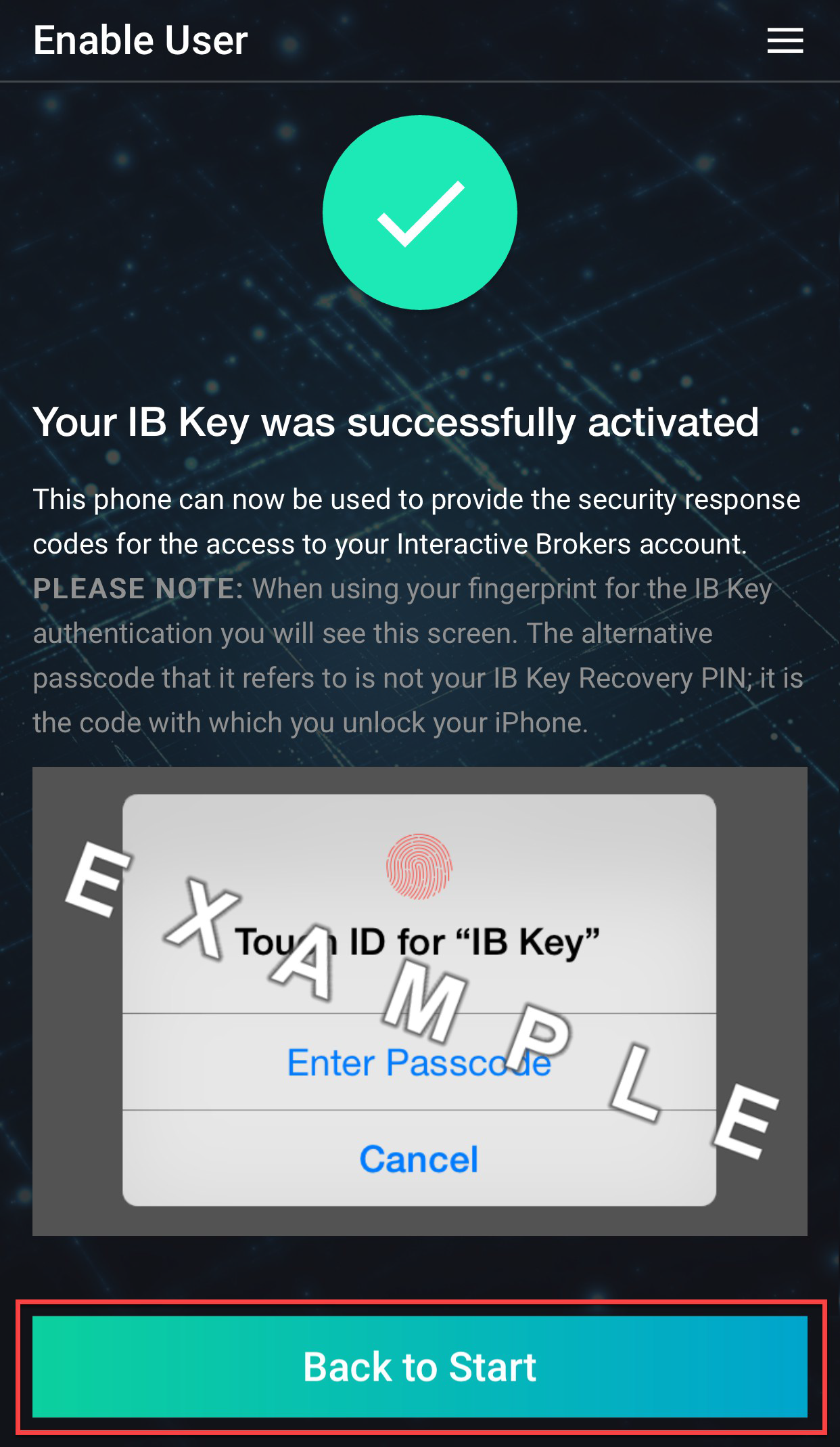 Как пользоваться ib key