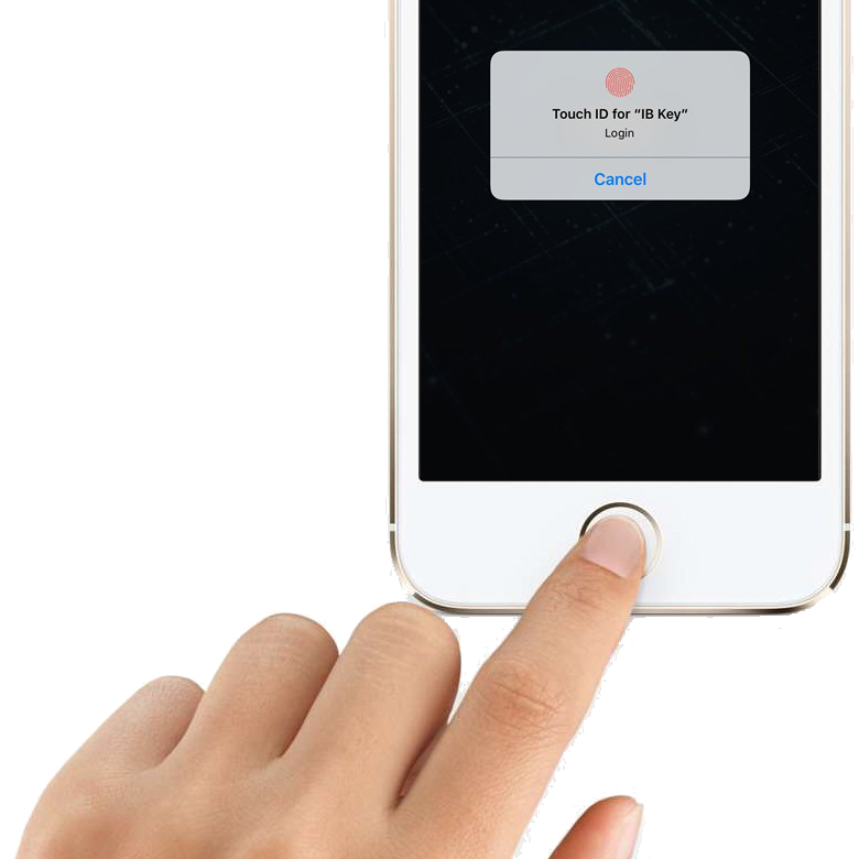 Autentificación de huella dactilar IB Key