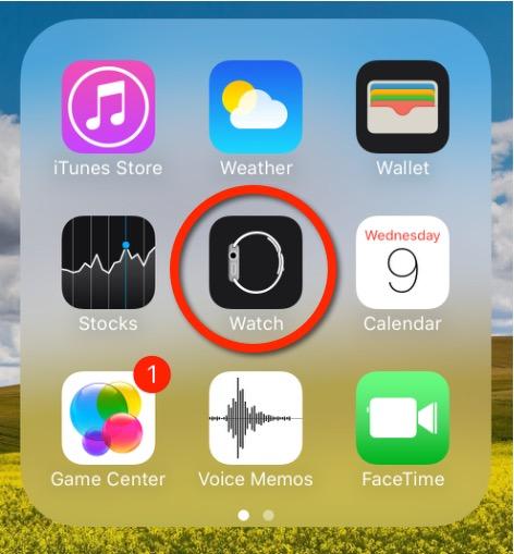 Apple Watch App Icon
